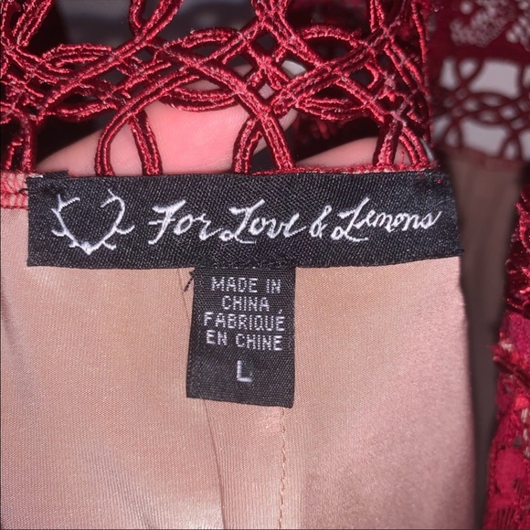 HP🎉 FLL🍋 Mon Cheri Lace Dress - Picture 5 of 8